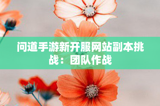 问道手游新开服网站副本挑战：团队作战