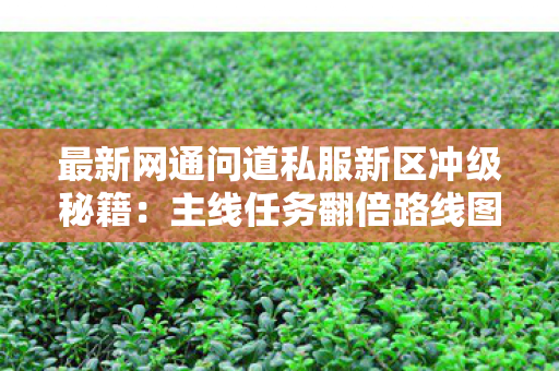 最新网通问道私服新区冲级秘籍：主线任务翻倍路线图